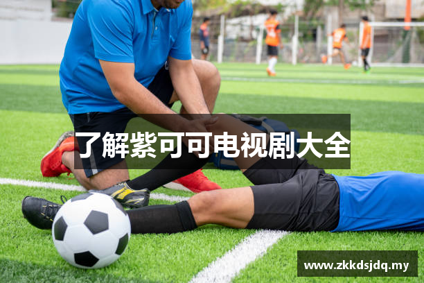了解紫可可电视剧大全